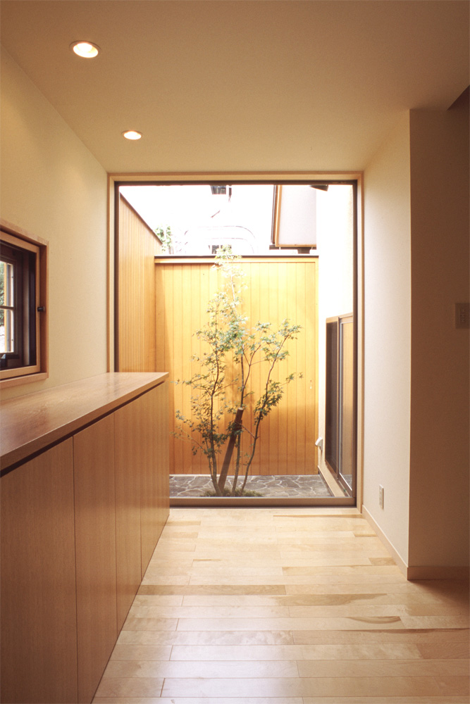 大きな屋根
