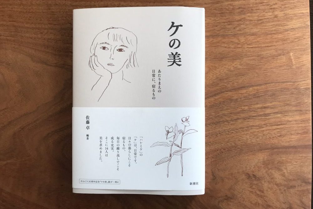 ケの美