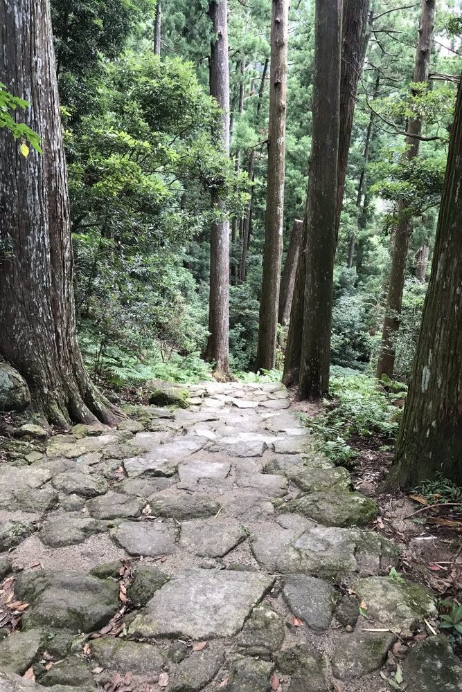 日本の神様　解剖図鑑