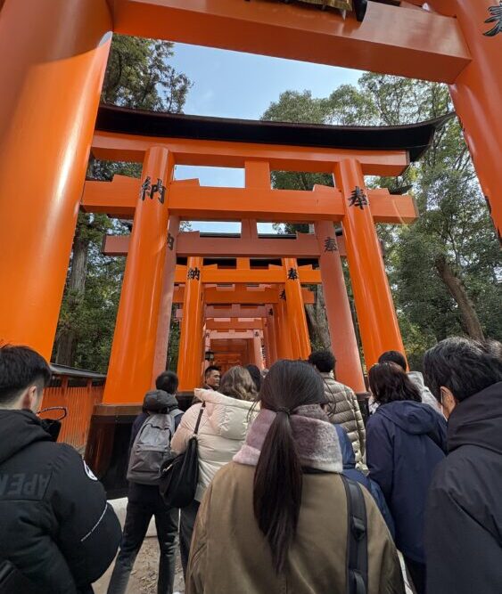 新年明けましておめでとうございます。